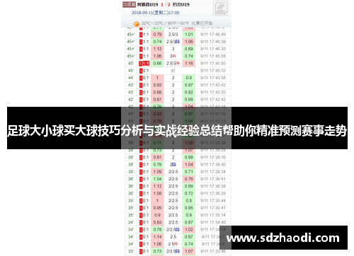 足球大小球买大球技巧分析与实战经验总结帮助你精准预测赛事走势